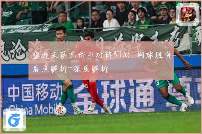 盛迎来萨巴伦卡对阵WTA：网球胜负看点解析-深度解析